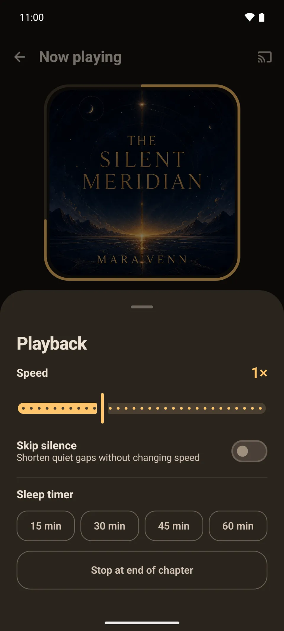 Playback speed, skip silence, and sleep-timer controls in Sliver